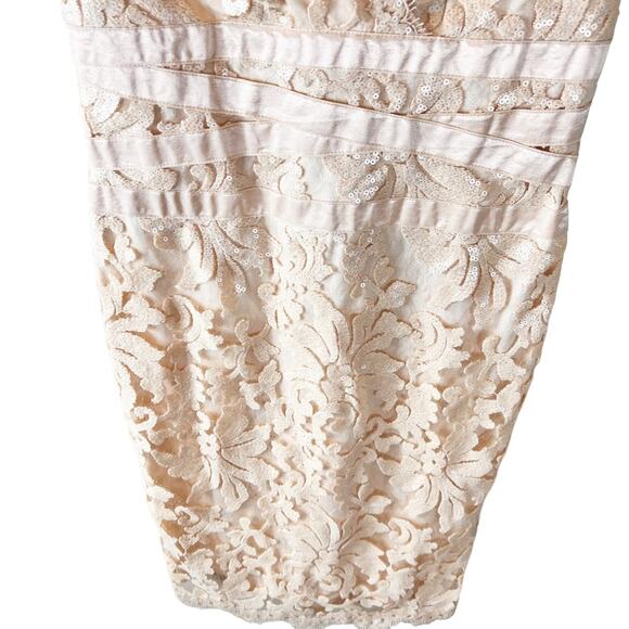 Tadashi Shoji Embroidered Lace Banded Waist Blush Primrose Dress 6 - Picture 5 of 10